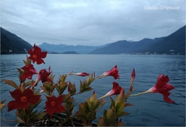 Argegno Lago di Como - Giulia Grignani